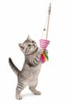 Interactive Cat Teaser Wand Toy with Feather & Bell | Durable Wooden Cat Stick Toy | Fun Exercise Toy for Cats & Kittens