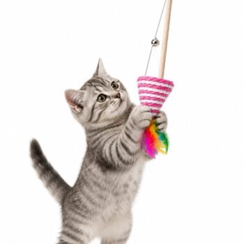 Interactive Cat Teaser Wand Toy with Feather & Bell | Durable Wooden Cat Stick Toy | Fun Exercise Toy for Cats & Kittens