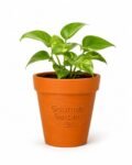Premium Terracotta Flower Pot for Indoor & Outdoor Plants | Eco-Friendly Clay Planter (1 Piece)