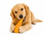 Premium Dog Chew Toy for Puppies & Small Dogs | Durable Natural Rubber Teething Toy | Bite Resistant Pet Toy