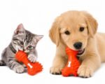 Premium Dog & Cat Chew Toy | Durable Rubber Teething Toy for Puppies & Kittens | Interactive Bite Resistant Pet Toy