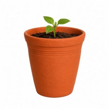 Premium Terracotta Clay Plant Pot – Natural Earthen Garden Pot for Indoor & Outdoor Plants