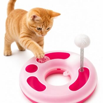 Interactive Cat Toy Ball Track with Spring Feather | Fun Exercise & Mental Stimulation Toy for Cats
