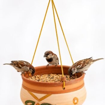 Handcrafted Terracotta Hanging Bird Feeder Bowl | Natural Clay Bird Feeding Tray for Garden, Balcony & Outdoor Use