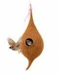 Handwoven Natural Coconut Coir Hanging Bird Nest House for Sparrows & Small Birds | Eco-Friendly Outdoor Bird Shelter